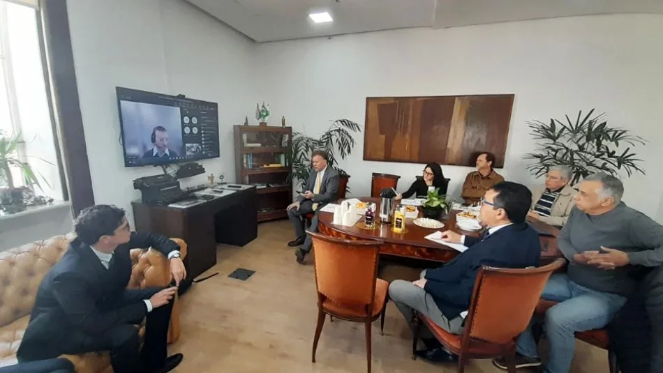 Remote participation during the São Paulo workshop.