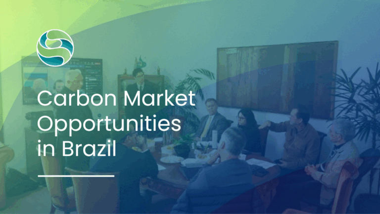 Capacity Building: Carbon Market Opportunities in Brazil
