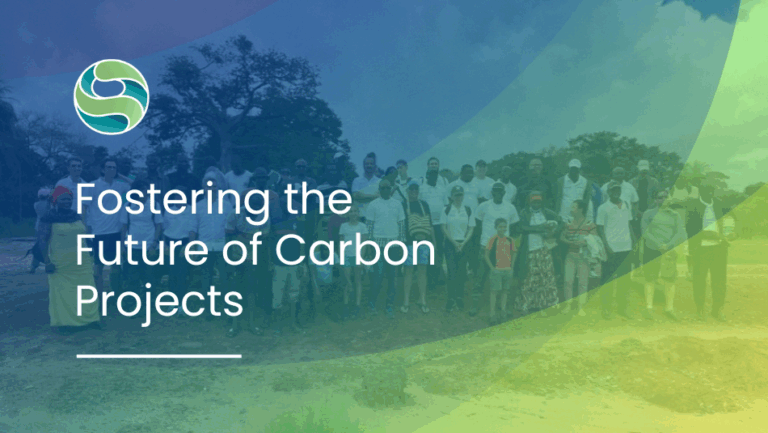 Fostering the Future of Carbon Projects