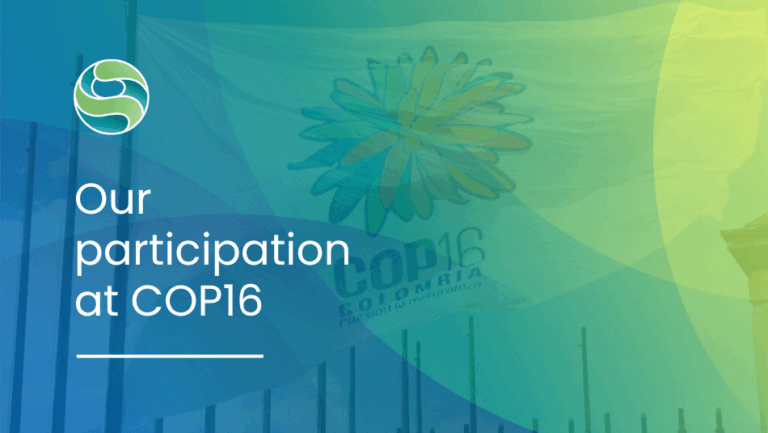 Our participation at COP16: Integral Ecology and Biodiversity Financing