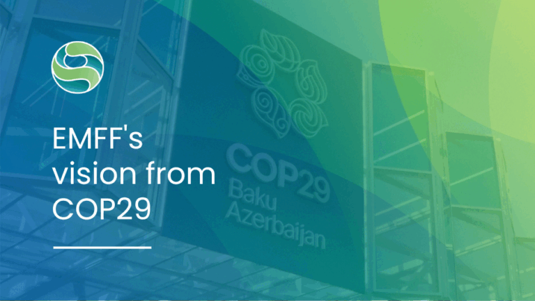 Building bridges for environmental integrity: EMFF’s vision from COP29